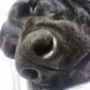 Meet your Posher, Lynn